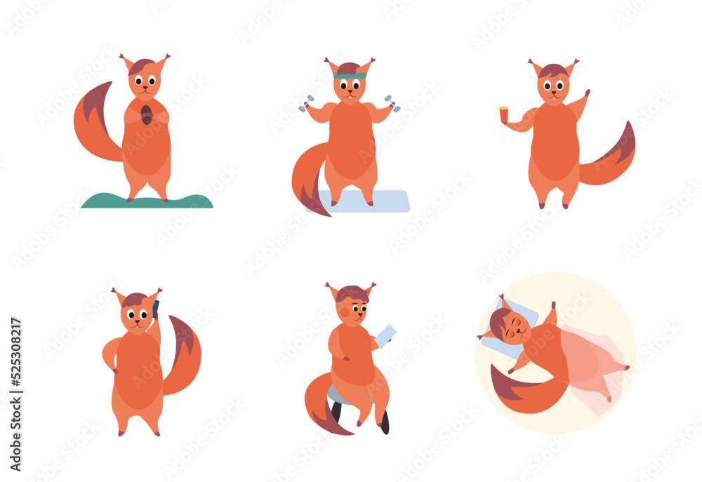 Cute squirrel icons set. Flat vector illustration. The squirrel eats a nut, exercises, drinks coffee, sleeps, talks on the phone and reads.