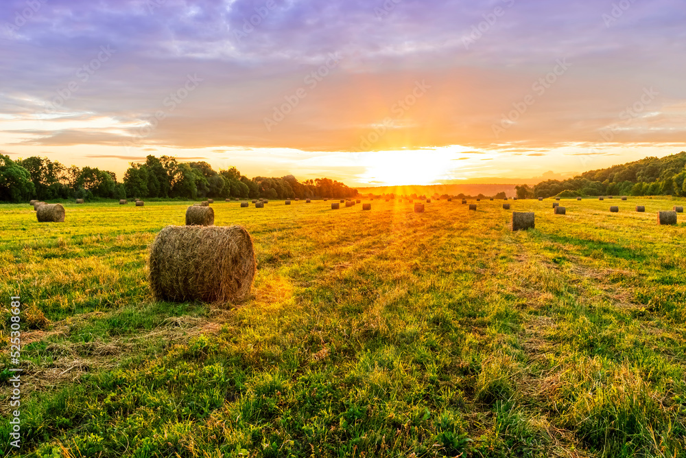 Scenic view at beautiful spring sunset in a green shiny field with green grass and golden sun rays, amazing sky on a background , summer valley landscape