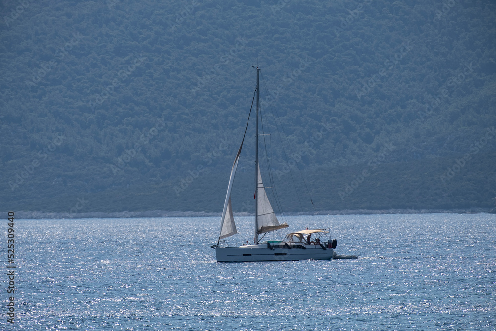 Obraz premium Sailing Yachts on Horizon...