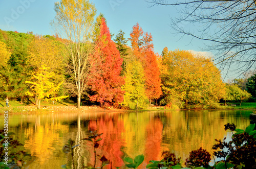 reflection of colorful trees in water. Autumn colors. Lake view.
