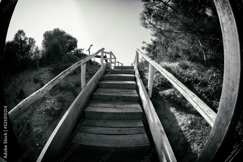 Obraz premium wooden walkway on the beach of sabaudia at circeo latina