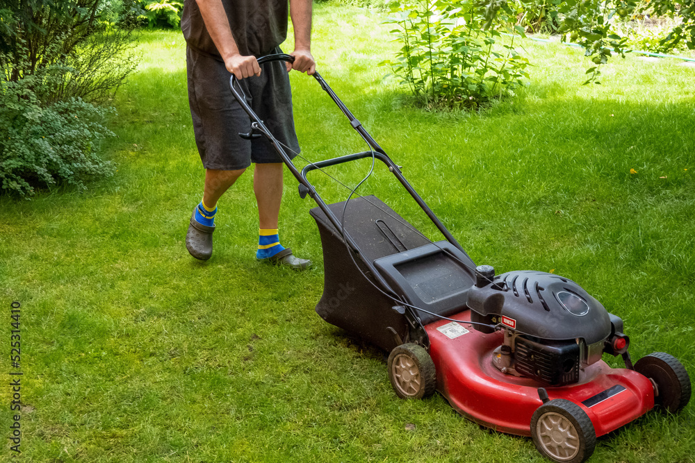 middle aged handsome man wearing home clothes is cutting the lawn, process to cut the grass at the yard with special machine lawn mover, green garden middle aged handsome man wearing home clothes is cutting the lawn, process to cut the grass at the yard with special machine lawn mover, green garden