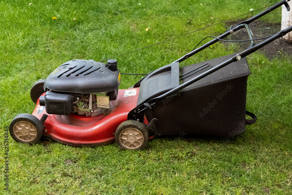 Fototapeta premium middle aged handsome man wearing home clothes is cutting the lawn, process to cut the grass at the yard with special machine lawn mover, green garden