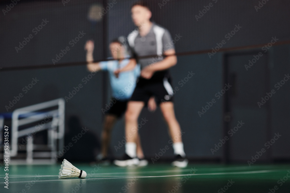 Shuttlecock on Court Floor