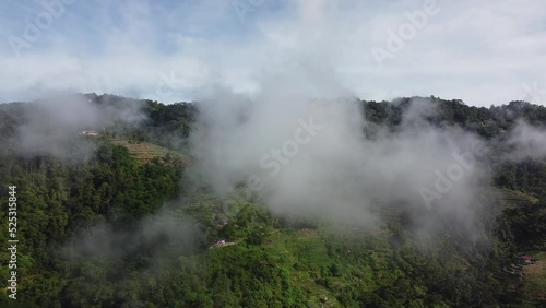 Wallpaper Mural Aerial fly over low cloud toward plantation at hill Torontodigital.ca
