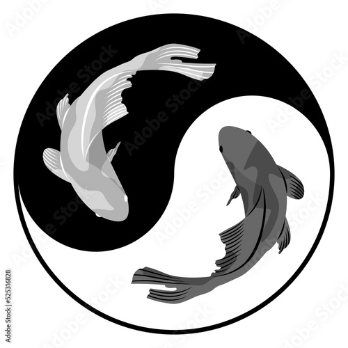 Yin Yang symbol. Yin Yang koi carp fishes. Asian symbol of harmony. Fish swim in circles. Black and white fishes. 