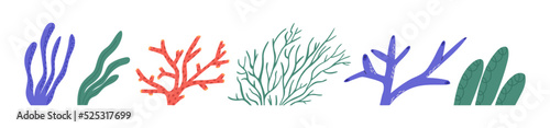 Set of seaweeds and coral reef elements - cartoon flat vector illustration isolated on white background. Cute aquatic flora. Sea and summer vacation concept.