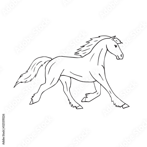 Vector hand drawn doodle sketch friesian horse isolated on white background
