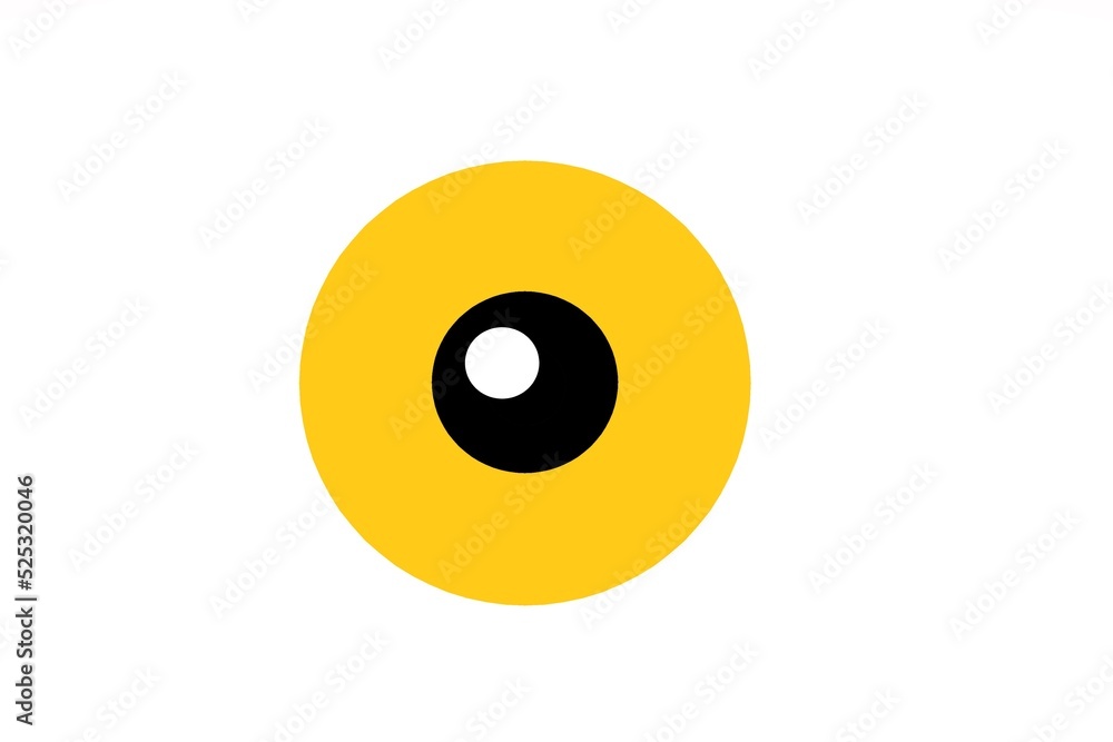 Eyeball of human. Eyeball of human.