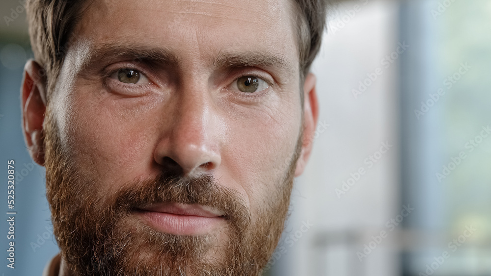 Obraz premium Male portrait front view close up headshot proud serious successful professional man bearded adult 40s millennial specialist boss leader consultant worker businessman posing looking at camera indoors