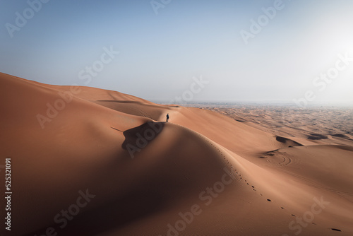 Fotobehang sand dunes in the desert