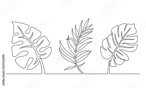 Continuous line drawing of monstera leaf and palm tree leaves. Modern single line art, aesthetic contour. Vector illustration.