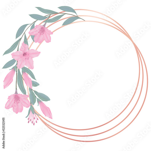 Pink flowers watercolor azalea illustration.