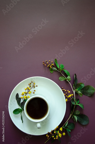 Flatlay A cup of coffee and on a round saucer lies a twig with small yellow flowers and leaves at the bottom Flat lay white on a dark purple background, with large copyspace  
