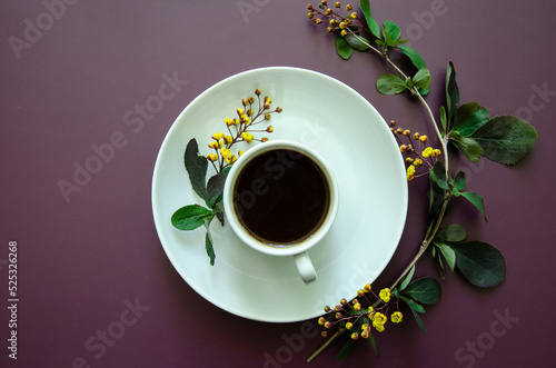 Flatlay central composition a cup of coffee and on a round saucer lies a twig with small yellow flowers and leaves Flat lay white on a dark purple background  with large copyspace at left