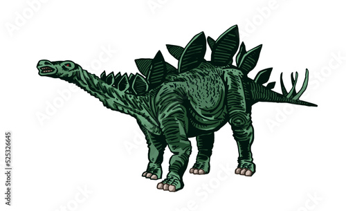 Vector color stegosaurus isolated, graphical illustration of dinosaur