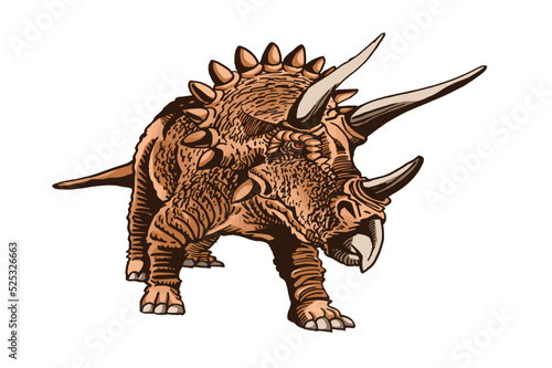 Vector color  triceratops isolated on white background, graphical illustration of dinosaur