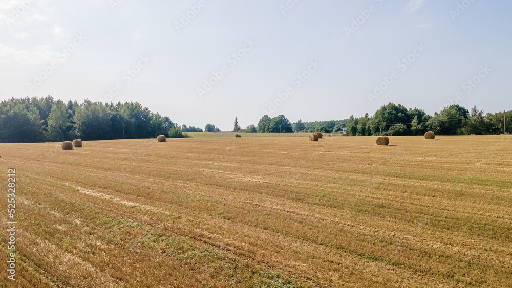 Aerial view of hay bales on the field after harvest. Landscape of straw bales on agricultural field. Countryside landscape.