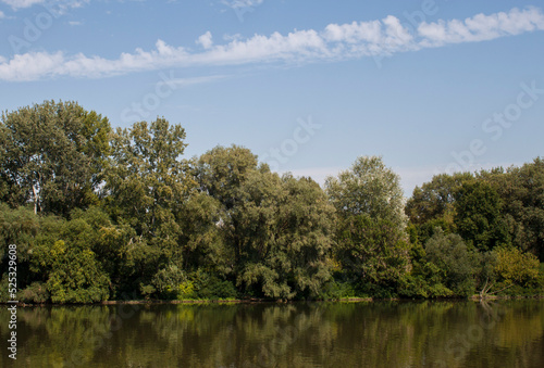 Pristine riverbank, trees and their reflection. River Tisza in Hungary, Europe in the famous Tokaj wine region. Tranquil Hungarian riverscape, ecosystem, and healthy environment concept and background © Daniel