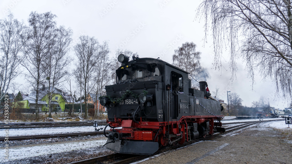 Fototapeta premium 99 1584 Mügeln