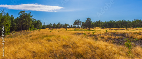 The desertic landscape of the Curonian Spit, Lithuania photo