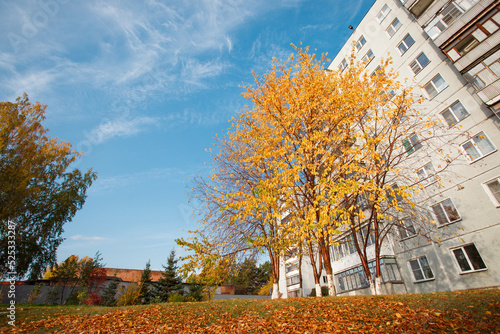 Beautiful and peaceful autumn scene with colorful trees in city park, seasonal landscape, autumn mood, foliages, bright colors of golden fall season