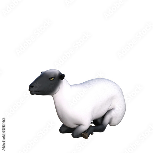 Sheep 3d Illustrations