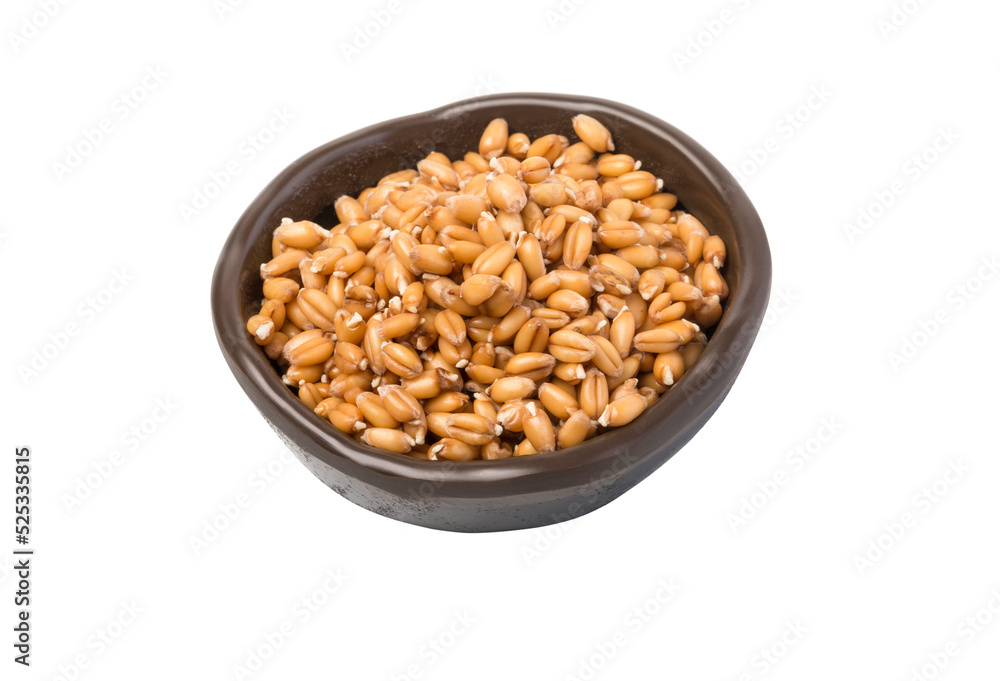 food in a brown ceramic bowl isolated food in a brown ceramic bowl isolated