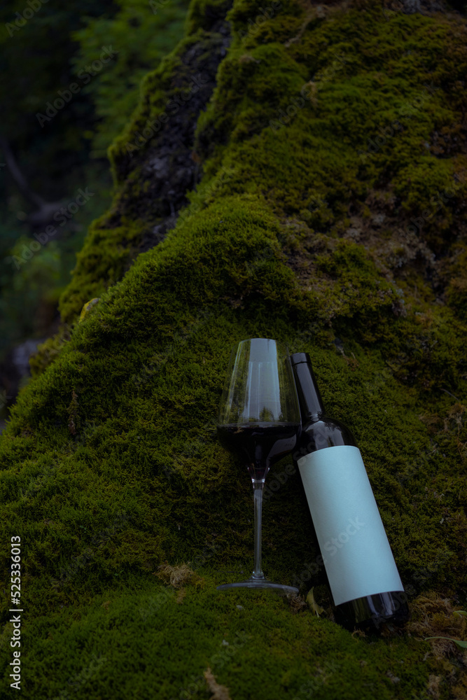 Beautiful glass and bottle of wine near moss waterfall Beautiful glass and bottle of wine near moss waterfall