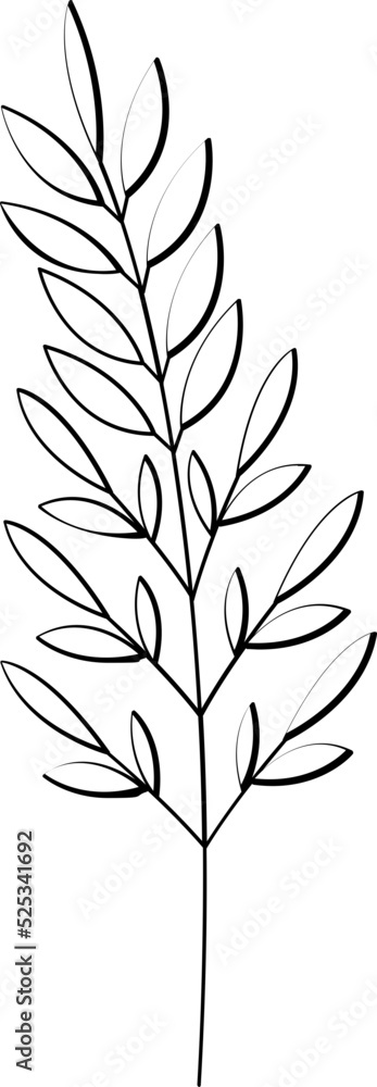 floral flower plant lineart,doodle for invitation card floral flower plant lineart,doodle for invitation card