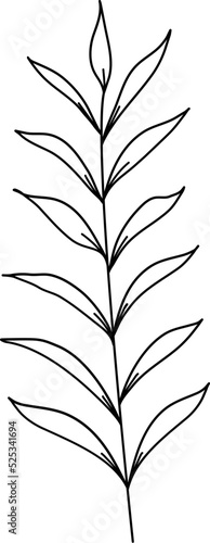 Fototapeta Naklejka Na Ścianę i Meble -  floral flower plant lineart,doodle for invitation card