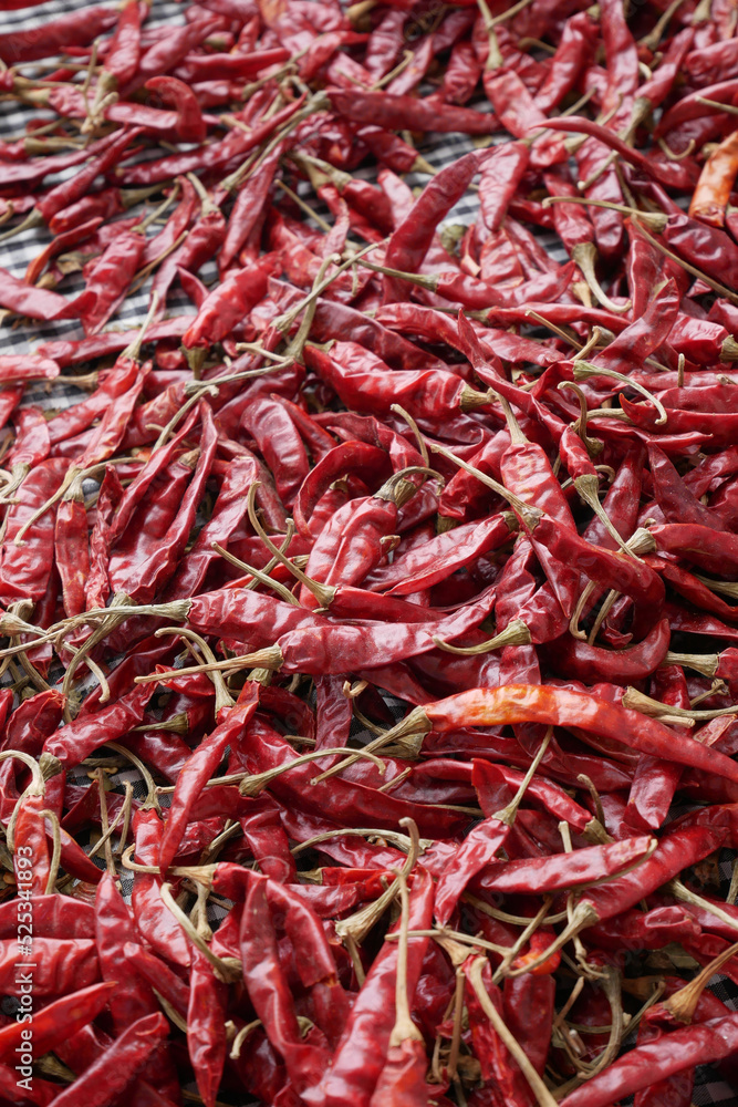 red chili pepper white background .