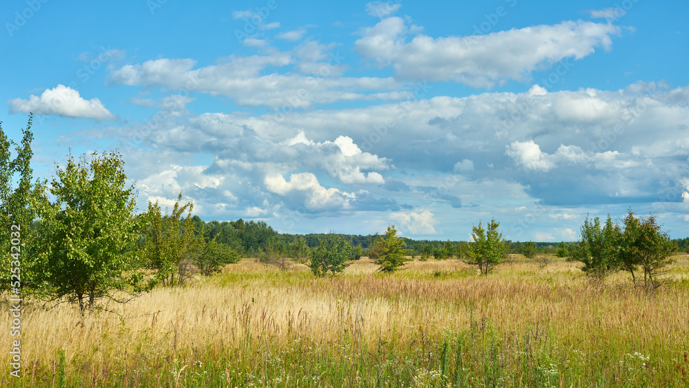 Scenic landscape with blue sky and clouds over the summer meadow.