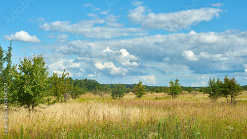 Scenic landscape with blue sky and clouds over the summer meadow.