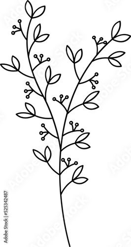 floral flower plant lineart,doodle for invitation card © Thanet