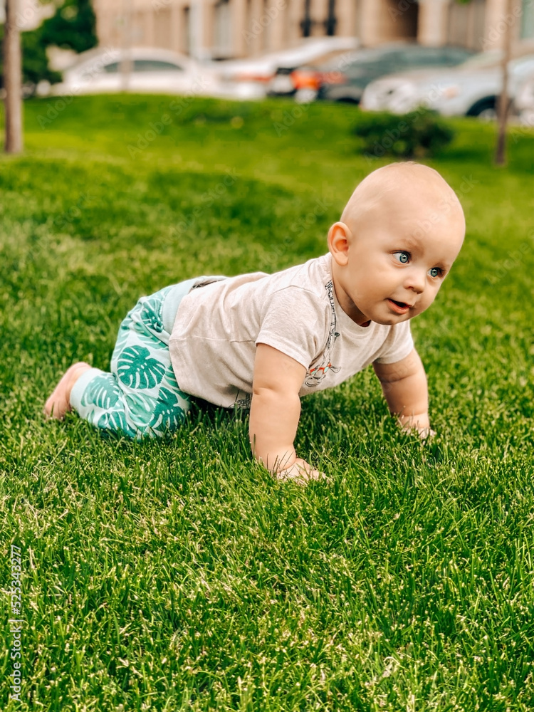 Cute baby boy learning how to crawl on the knees on the grass looking forward Cute baby boy learning how to crawl on the knees on the grass looking forward