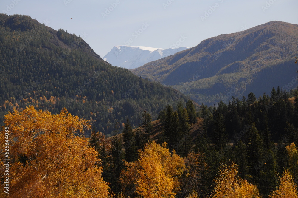 Picturesque view of Altai mountain range in autumn season