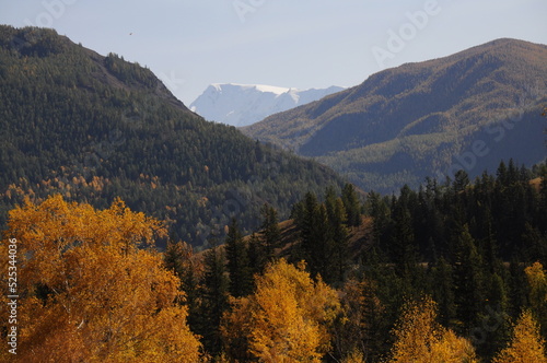 Picturesque view of Altai mountain range in autumn season