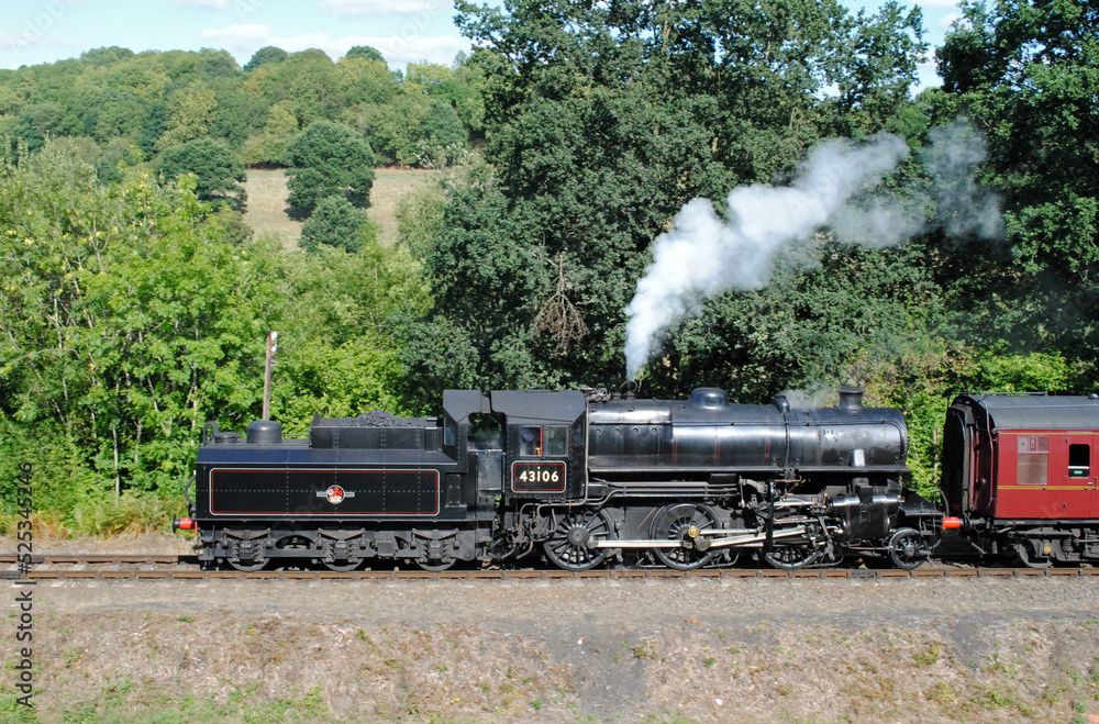 Obraz premium Steam Locomotive and Train Approaching on Rural Heritage Railway