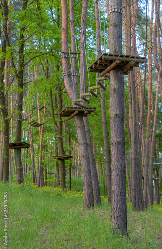 a rope park in the middle of a pine forest, ropes stretch high between trees with fixed wooden bars of various designs in the photo, a beautiful green forest in the summer warm season