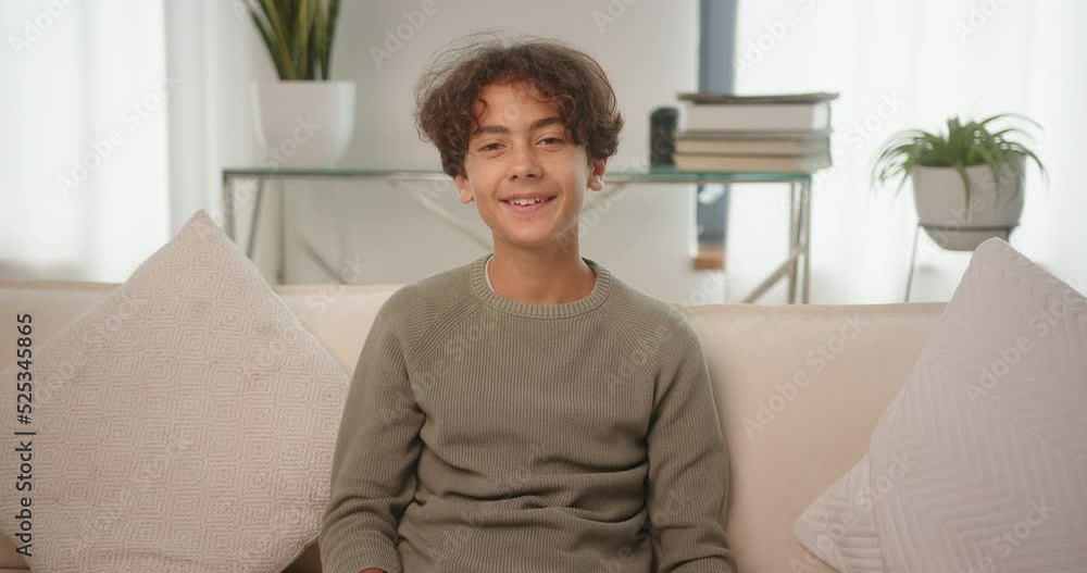 Teenager boy talks greeting classmate on video in living room Teenager boy talks greeting classmate on video in living room