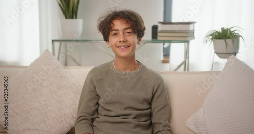 Teenager boy talks greeting classmate on video in living room