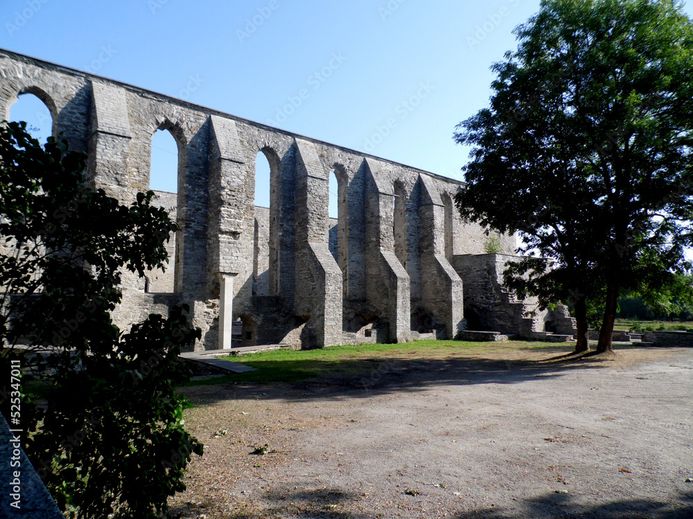 Ruins of Bridgettine Convent in Tallinn
