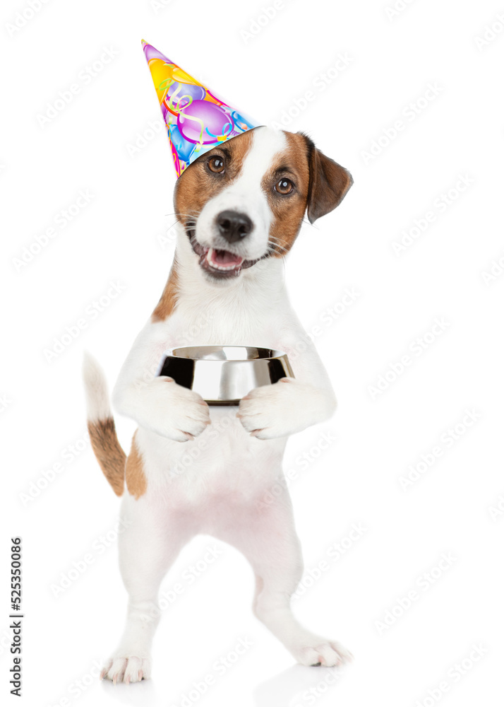 Jack russell terrier puppy wearing party cap holds  empty bowl. isolated on white background