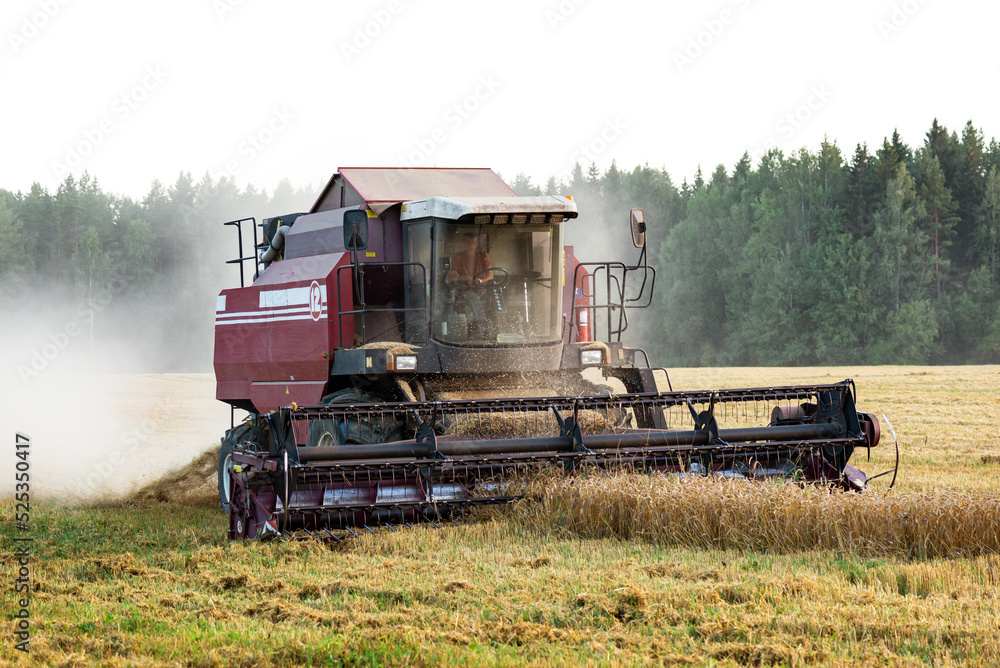 Fototapeta premium Combine harvester harvesting wheat in the field. Selective focus.
