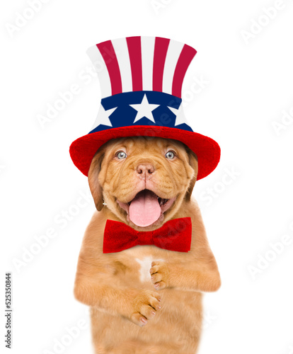 Happy Mastiff puppy wearing like Uncle Sam looks at camera. isolated on white background © Ermolaev Alexandr