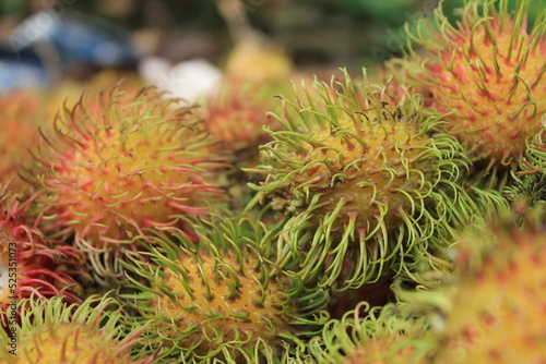 Piles of rambutan fruit in baskets  freshly harvested. Latin name Nephelium lappaceum.