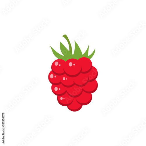 Vector image of raspberries on a white background