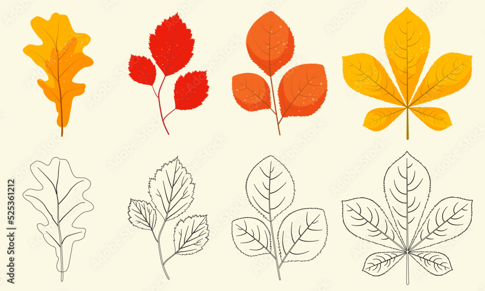 Coloring game for the development of children. Autumn leaf icon set. Vector set of maple, chestnut and hawthorn leaves. Cute autumn falling leaves for coloring.