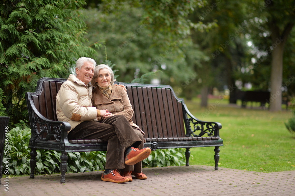 Fototapeta premium Happy senior woman and man in park